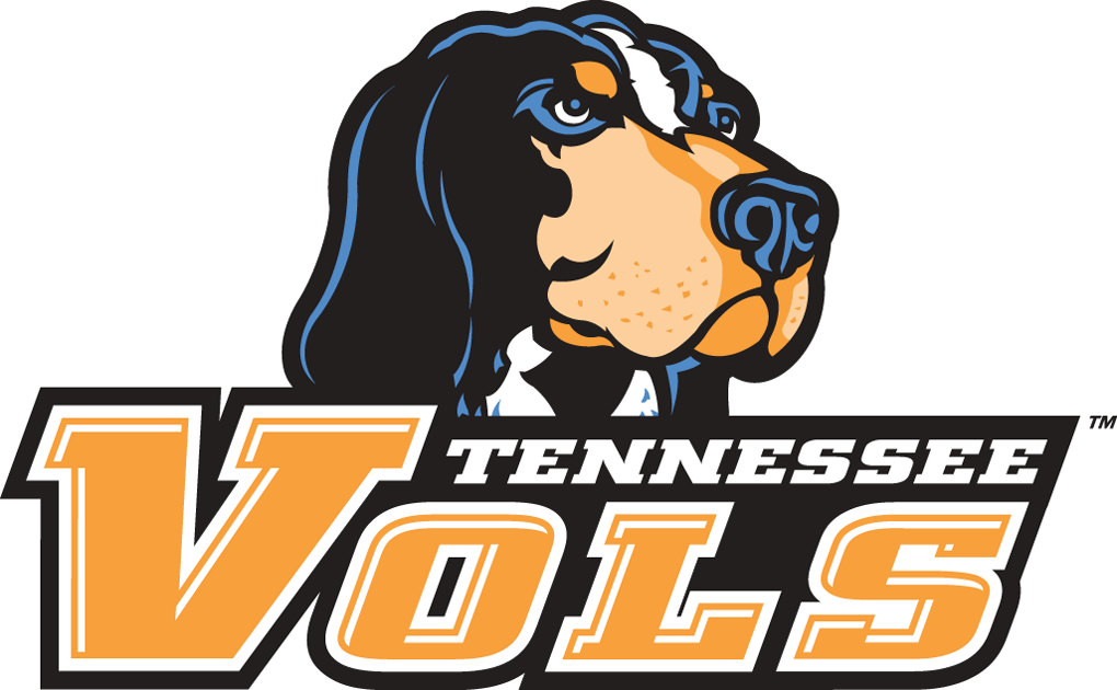 Tennessee Volunteers 2005-Pres Alternate Logo v2 diy iron on heat transfer